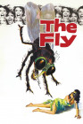 The Fly - Poster - The Fly - poster