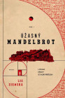 Mandelbrot the Magnificent - Obálka - Plagát